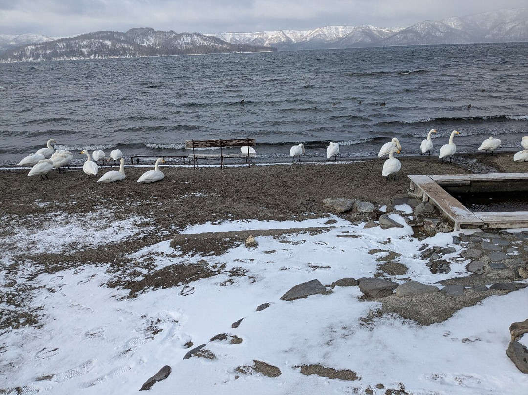 屈斜路湖-弟子屈町必去景点