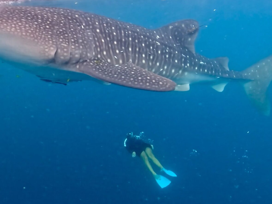 The Langkah Travel-Sumbawa Besar必去景点