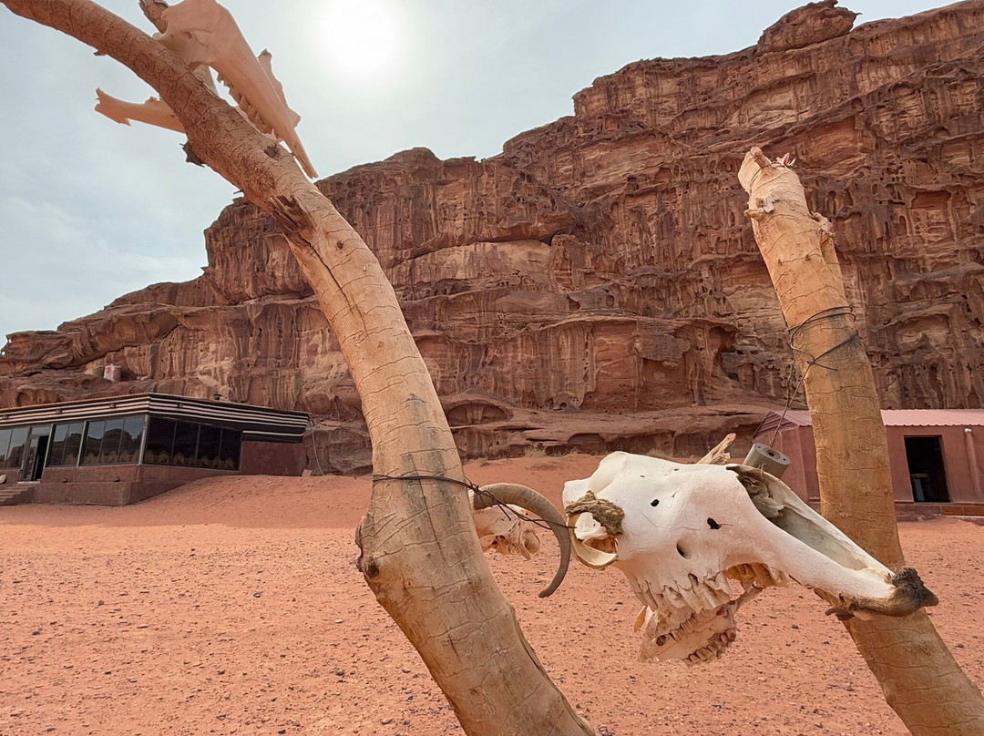 Bedouin Journey - Le Périple Bédouin-Wadi Rum Village必去景点