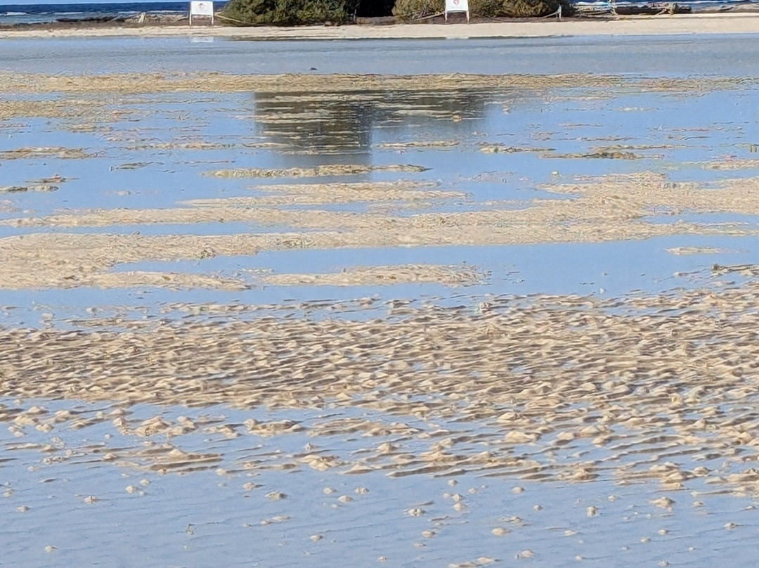 Wadi El Gemal National Park-马萨阿拉姆必去景点