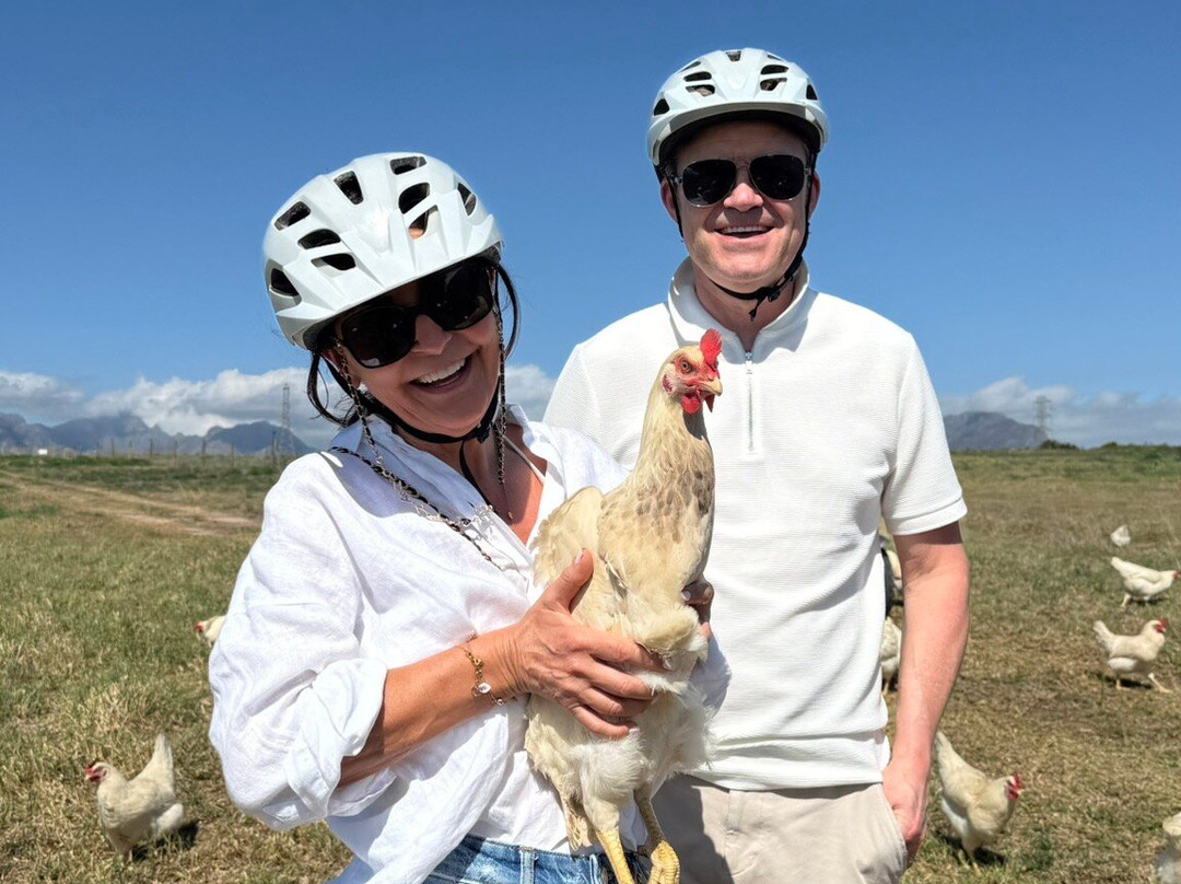 Segway Vineyard Tours-斯泰伦博斯必去景点