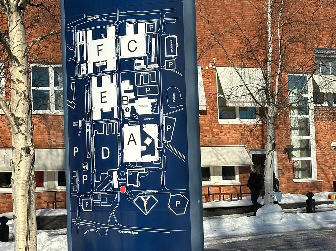 Teknikens Hus-Luleå必去景点