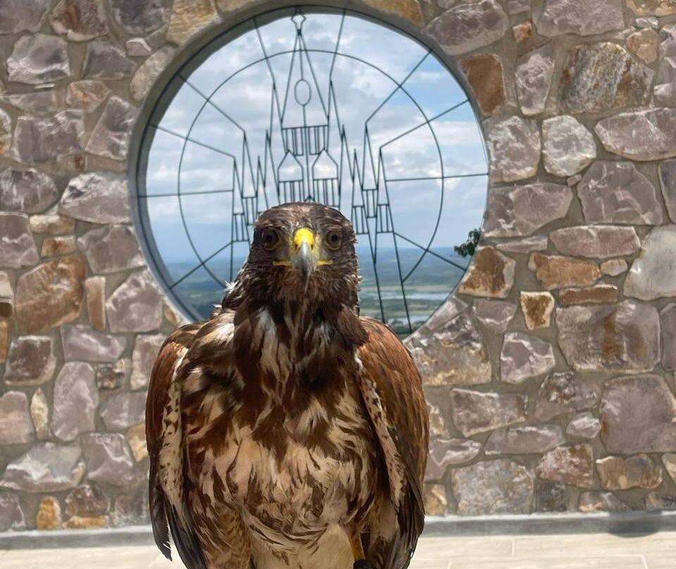 Amelia Day Club-圣米格尔护城必去景点