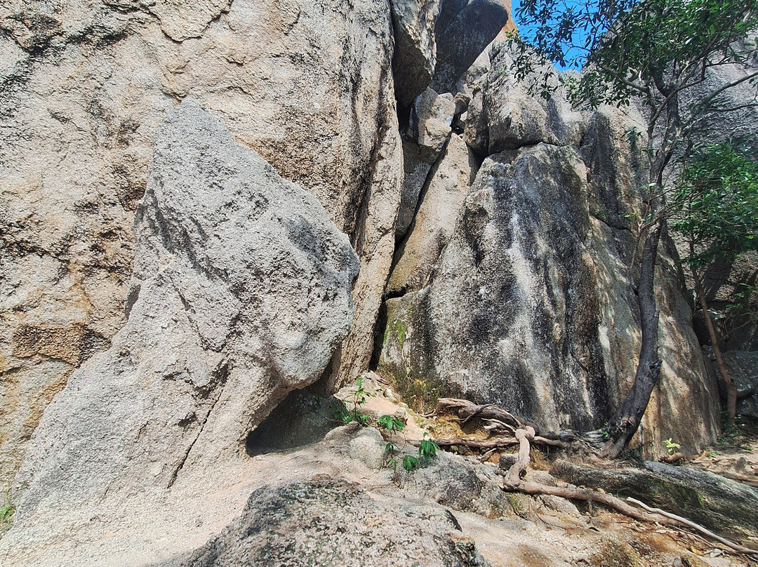 The Bunker Climbing Gym Koh Tao景点图片
