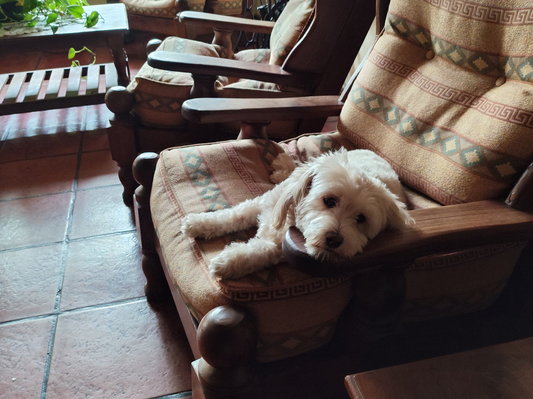 Hotel Sirenuse主图