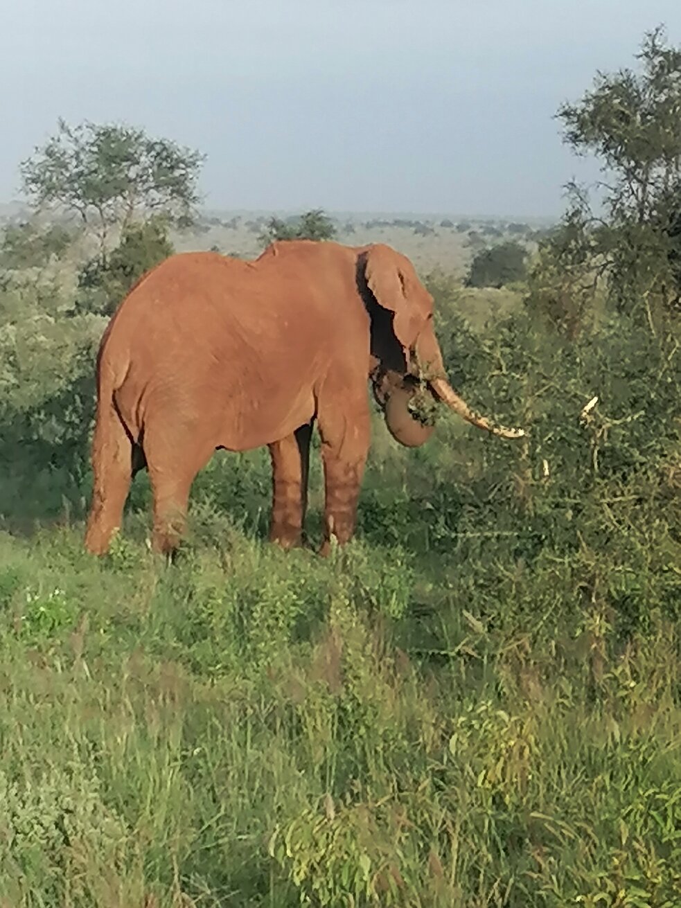 Mimi Na Wewe-官方