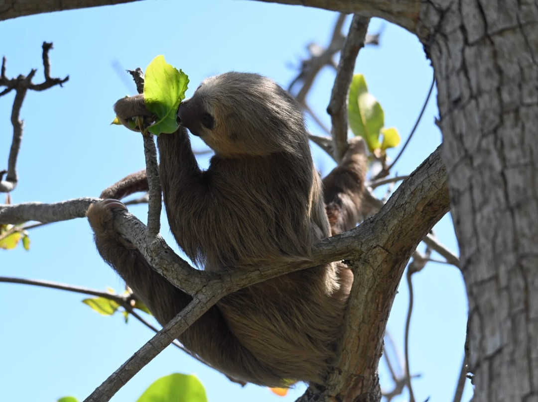 Punta Culebra Nature Center景点图片