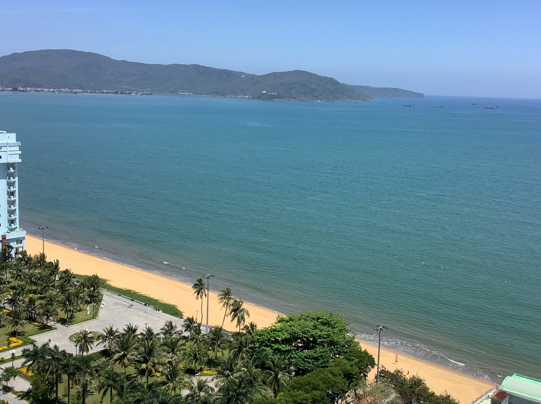 FLC City Hotel Beach Quy Nhon主图