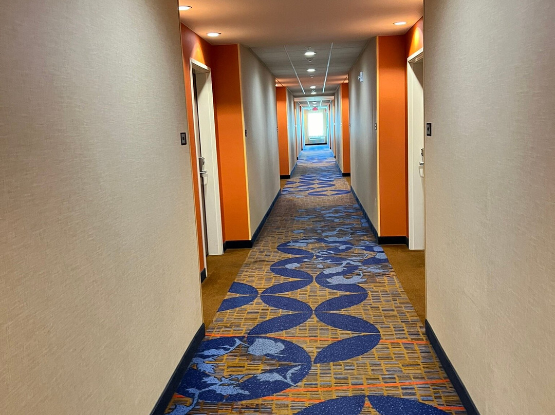 Courtyard Chicago Schaumburg/Woodfield Mall主图