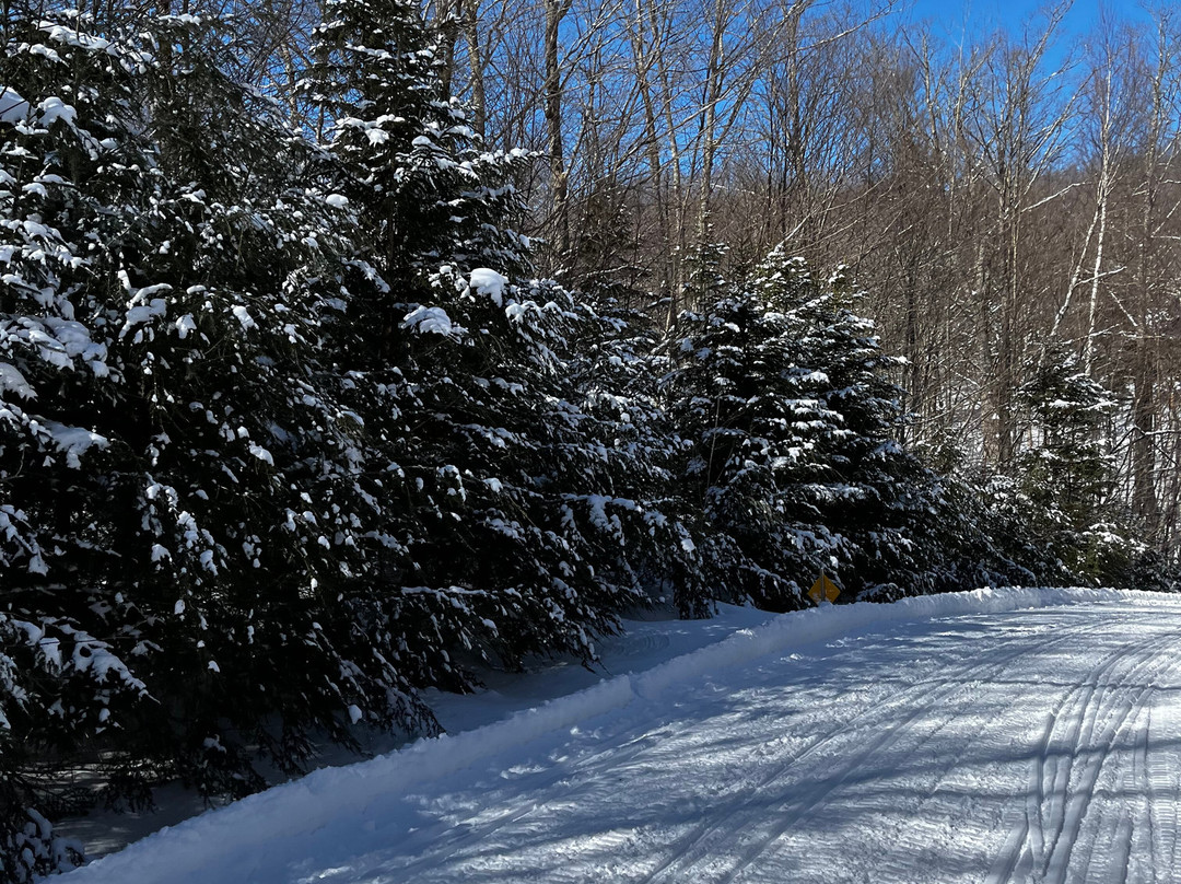 Snowmobile Vermont-斯托必去景点