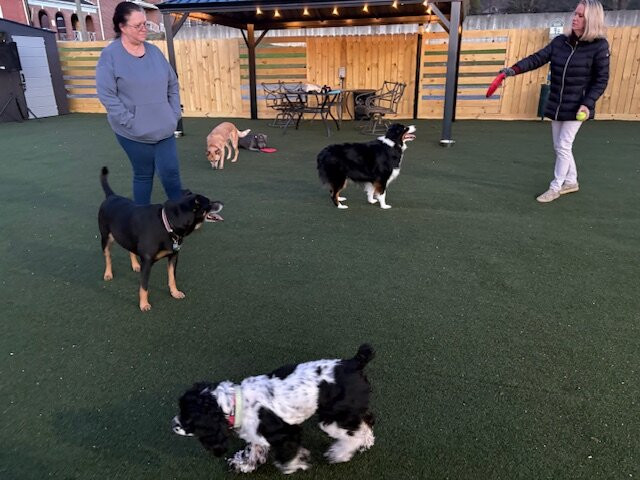 Manchester Dog Park & Social Club-Manchester必去景点