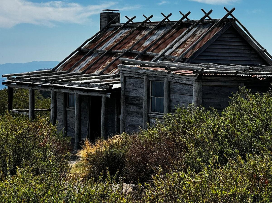 Buckle Up Bushrides-Merrijig必去景点