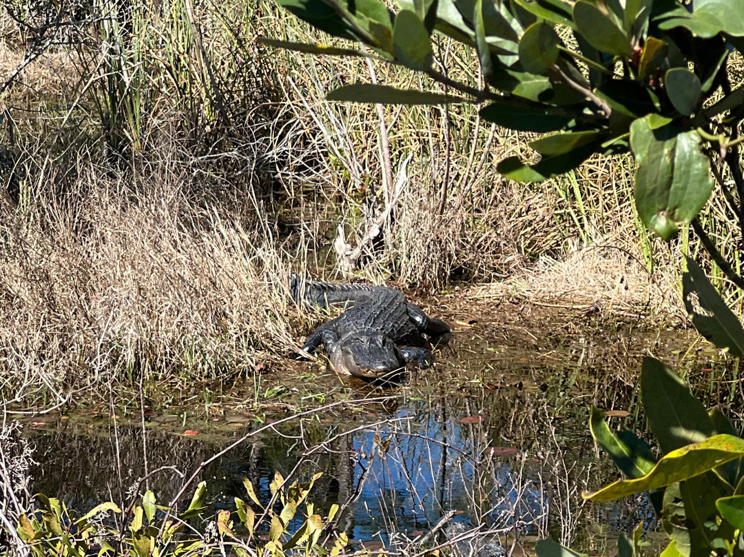 Bon Secour National Wildlife Refuge-格尔夫海岸必去景点