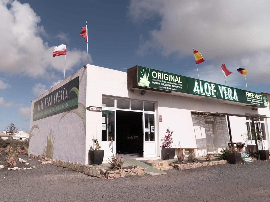 Aloe Vera museum景点图片