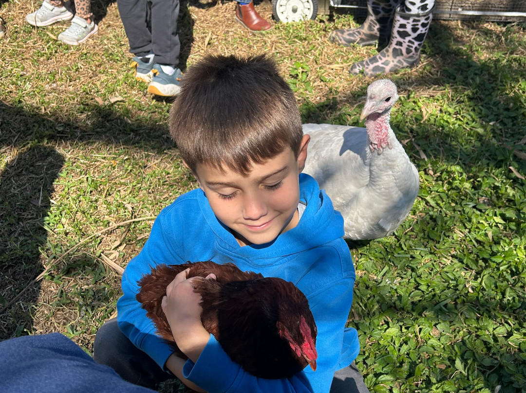 Jupiter Creamery-朱庇特必去景点