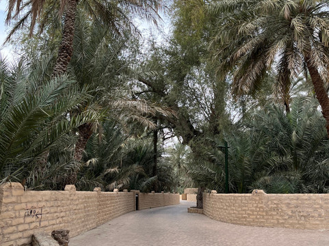 Dadan Tours-阿布扎比必去景点