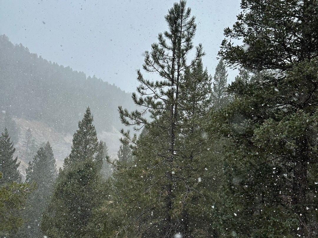 Peak to Peak Scenic Byway-埃斯蒂斯公园必去景点