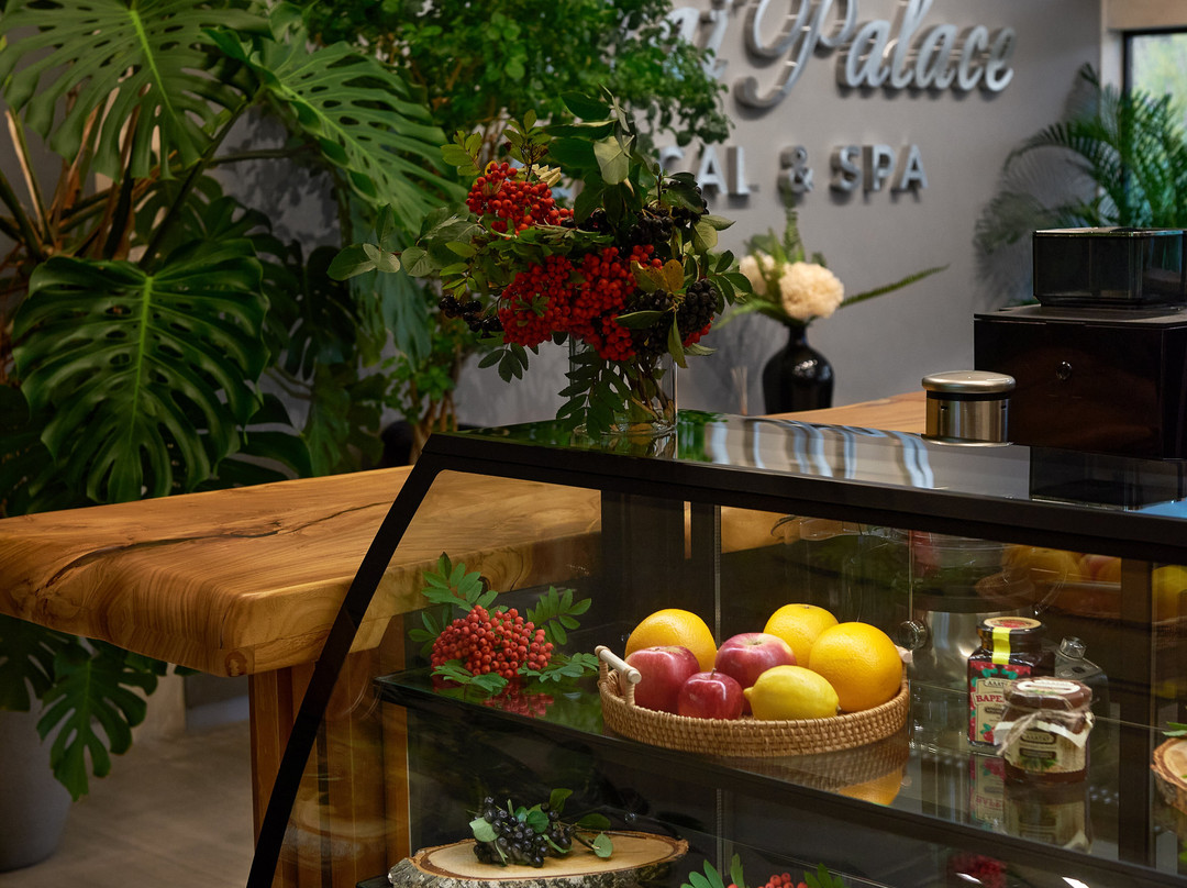 Altai Palace Medical SPA景点图片