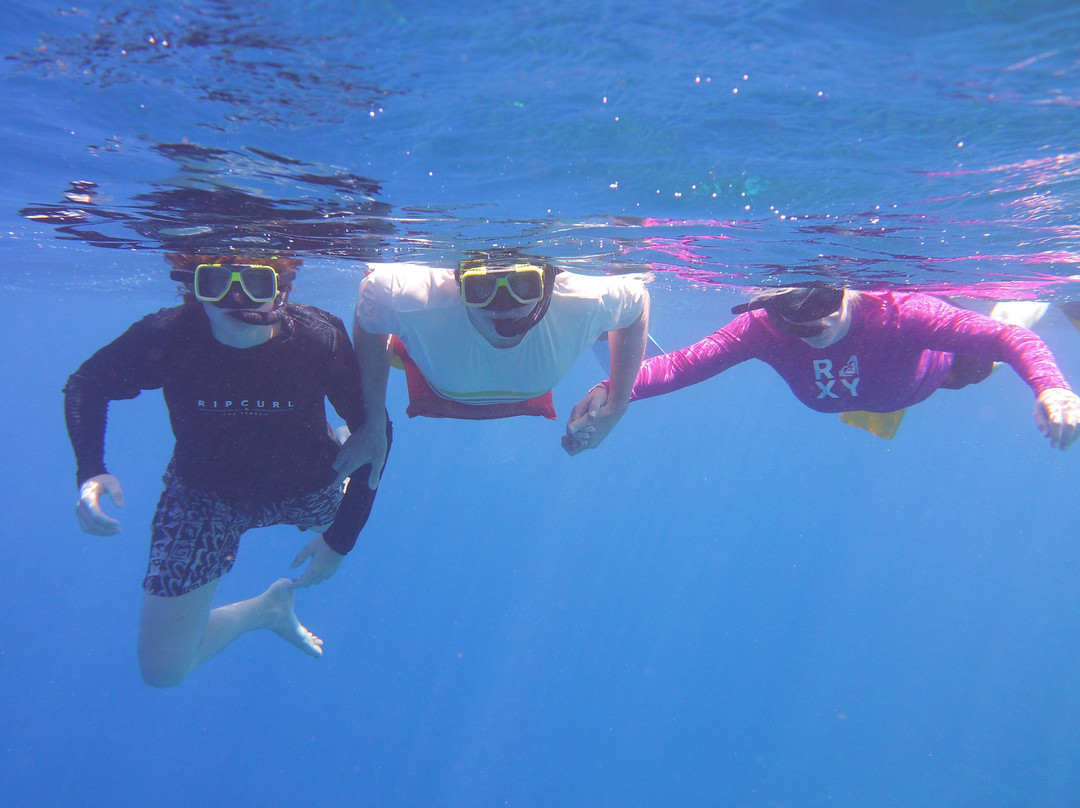 Sea Cow Snorkeling Bonaire-Kralendijk必去景点