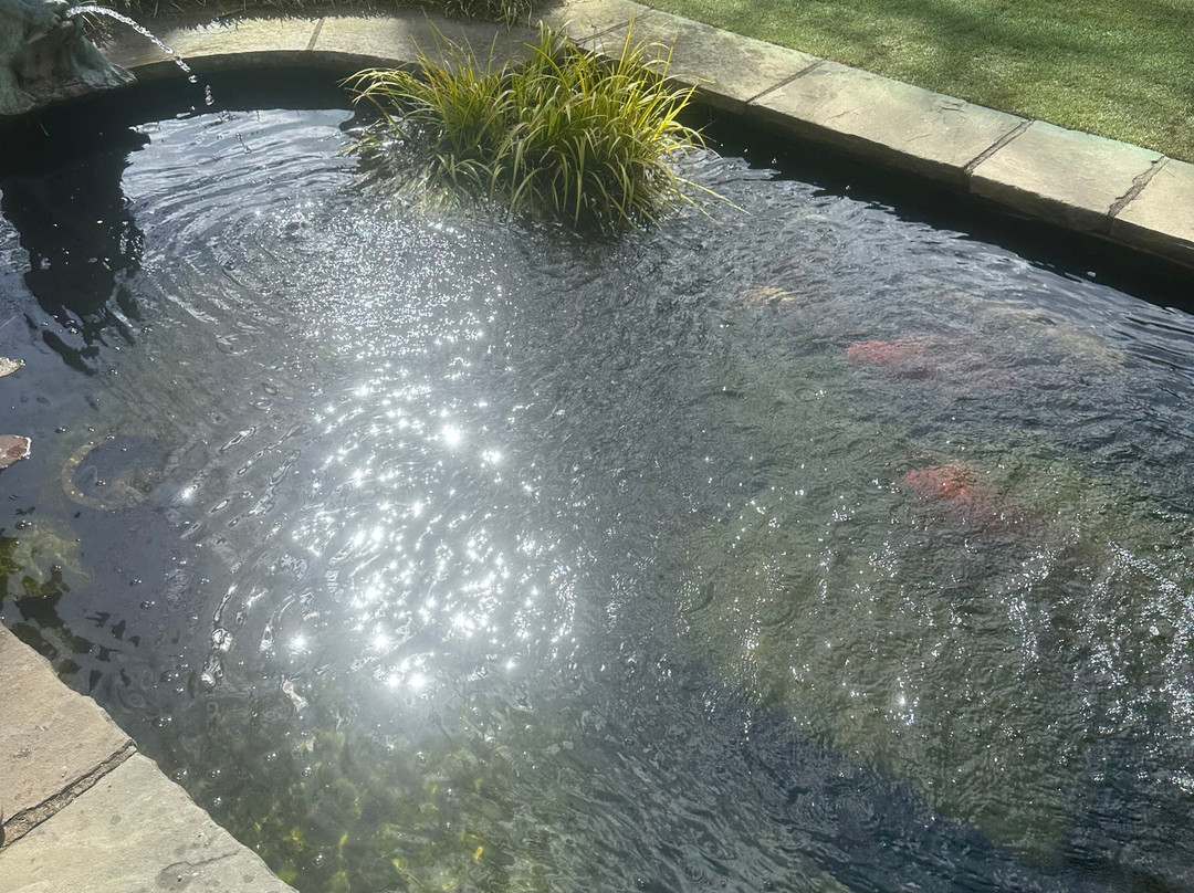 The Graylyn Estate主图