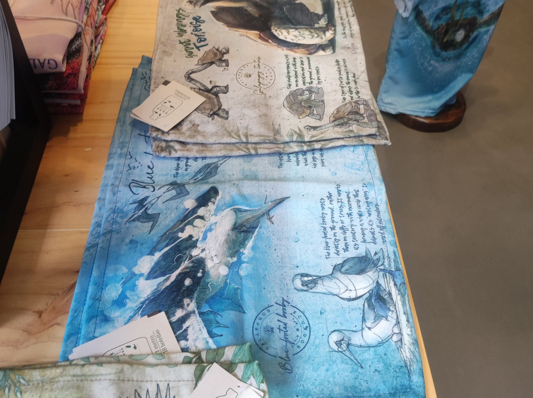 593 Origins - Baltra-Baltra必去景点