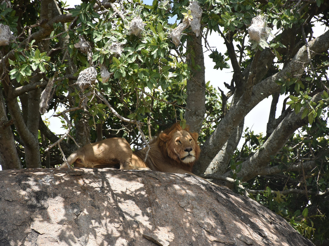 Next Stop Tanzania-阿鲁沙必去景点
