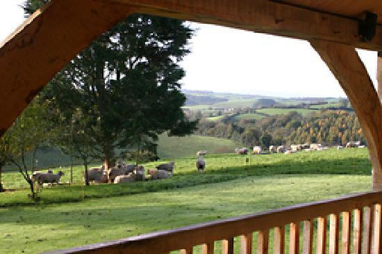 Ashridge Farm主图
