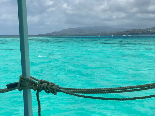 Splash Sports Catamaran Cruises-斯卡伯勒必去景点