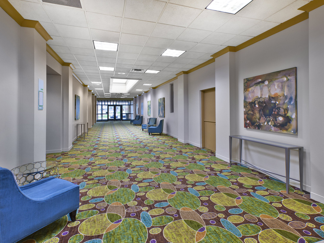 Holiday Inn & Suites Bolingbrook By IHG主图