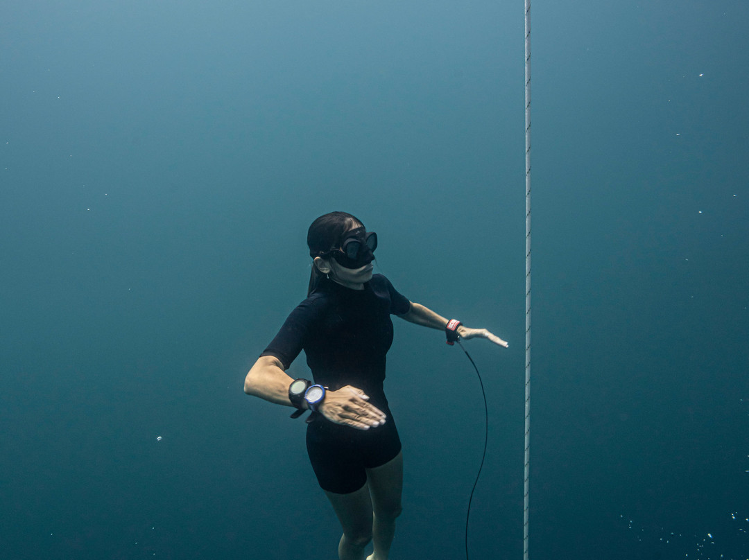 Freedivinglife Riviera Maya-普拉亚德尔卡曼必去景点