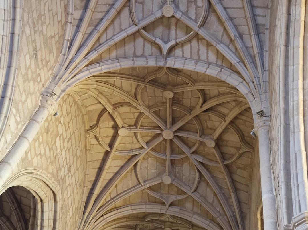 Iglesia de Santa Maria la Mayor景点图片