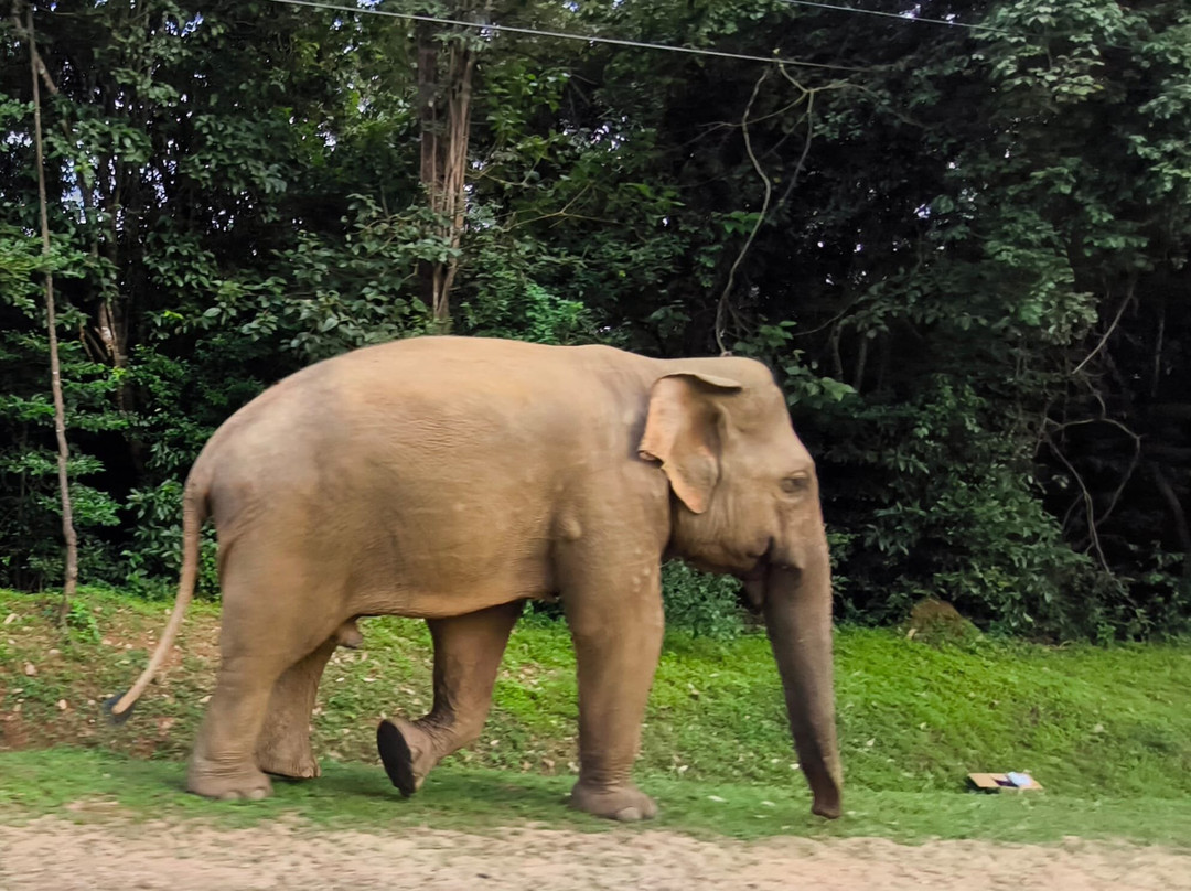 Balanna Travel Co-卡图纳耶克必去景点