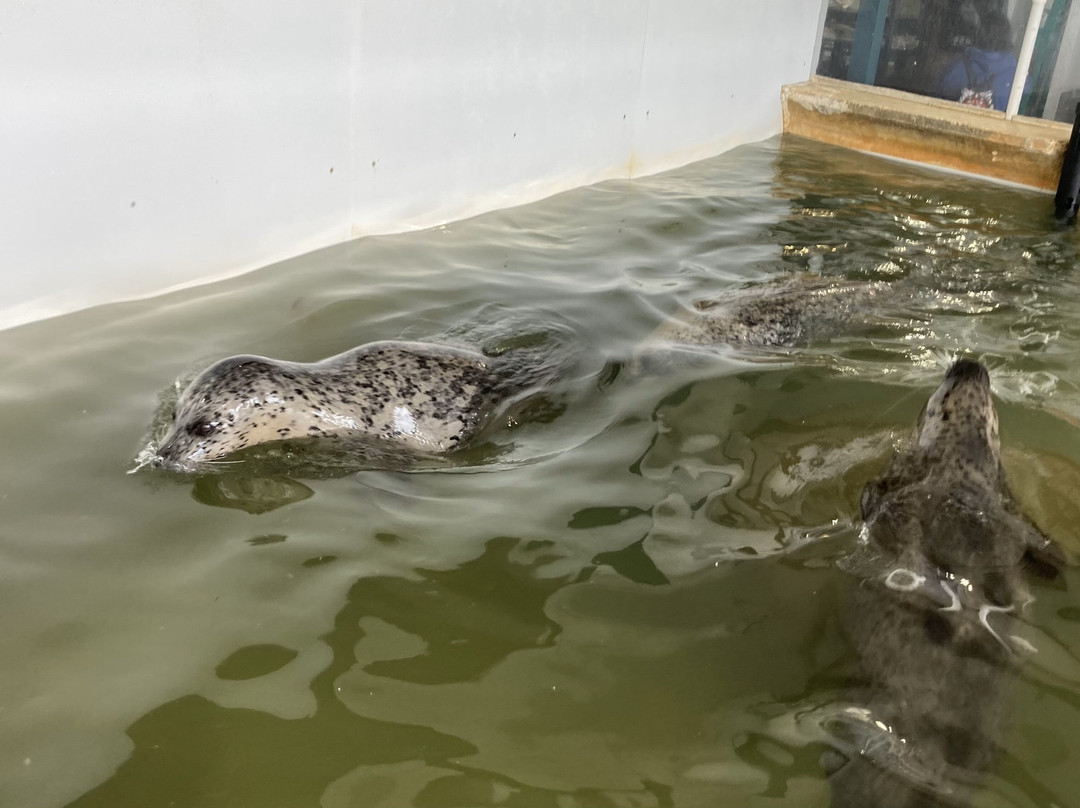 Seaside Aquarium-锡赛德必去景点