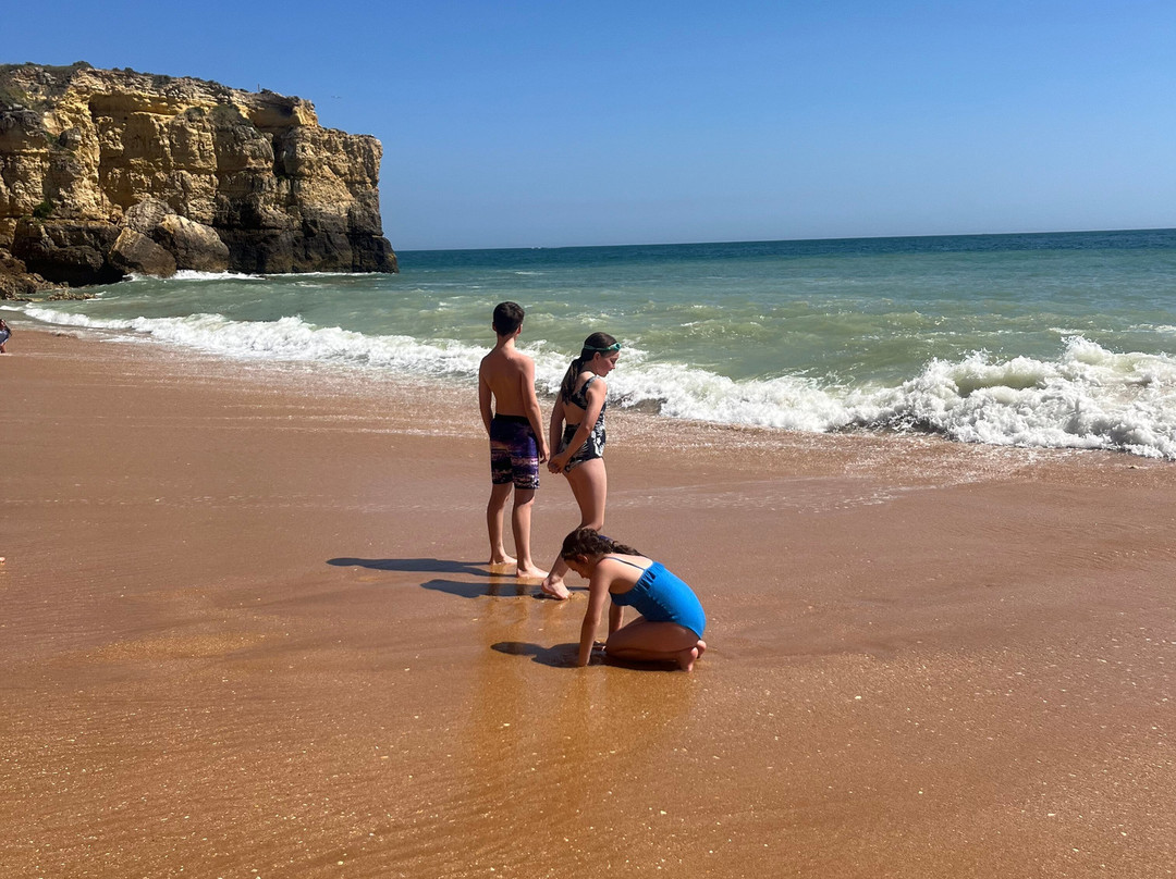 Praia da Coelha景点图片