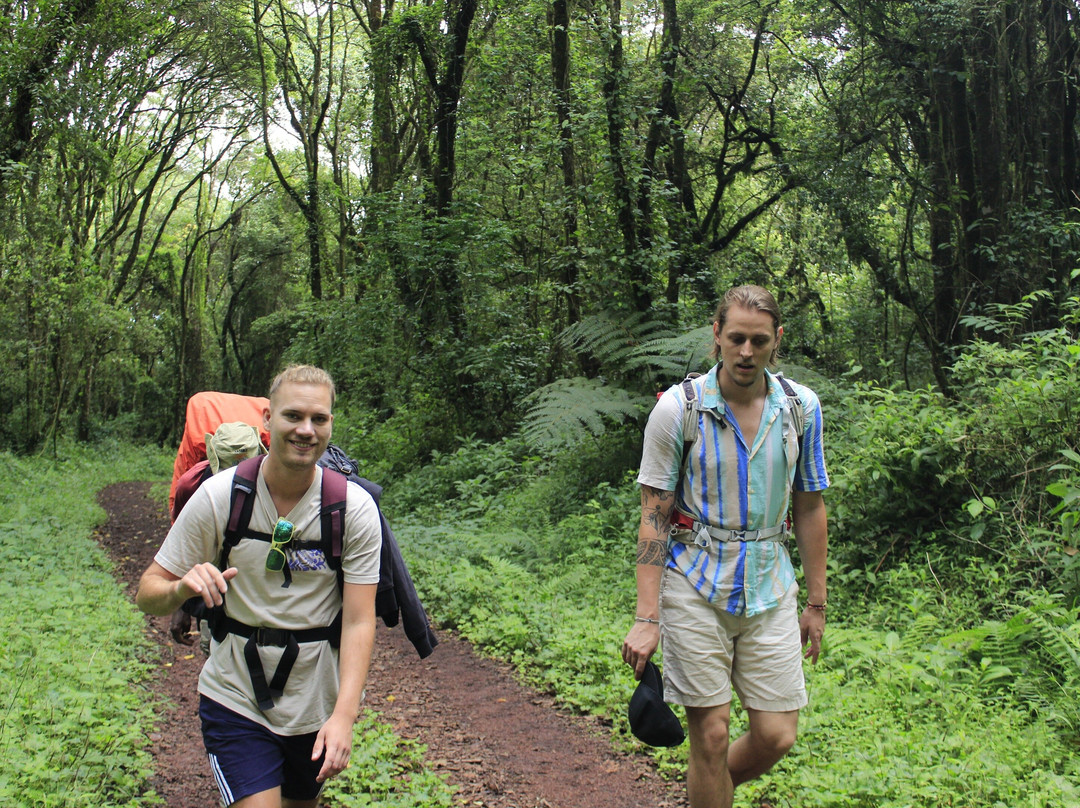 #1 Popular Best priced 6 & 7 days Kilimanjaro Machame Route Group Joining Climbing | Hiking Tours