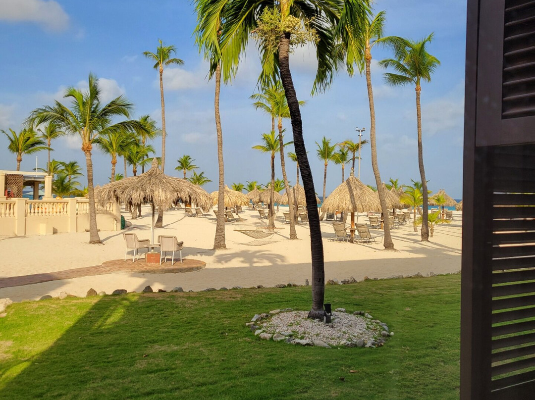 Manchebo Beach Resort & Spa主图