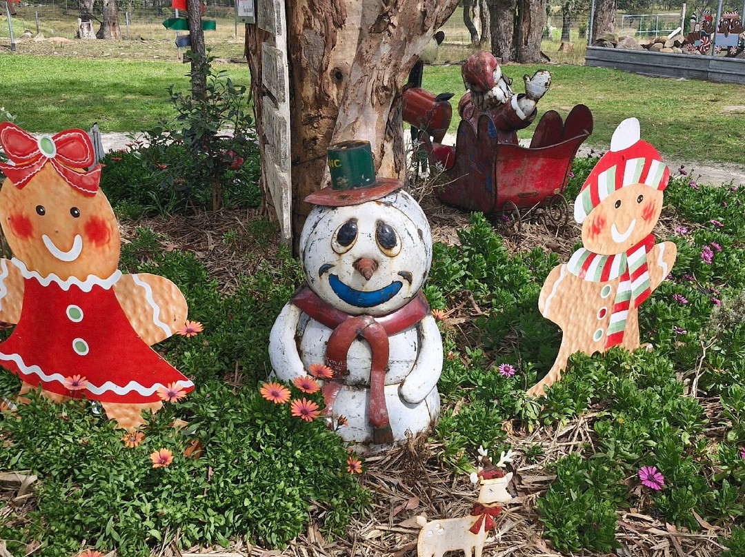 Granite Belt Christmas Farm景点图片