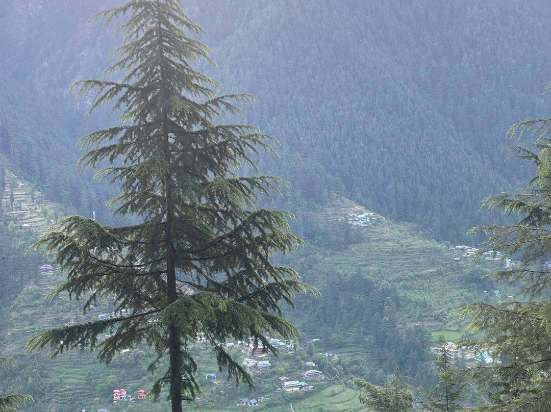 Jibhi Adventure-Jibhi必去景点