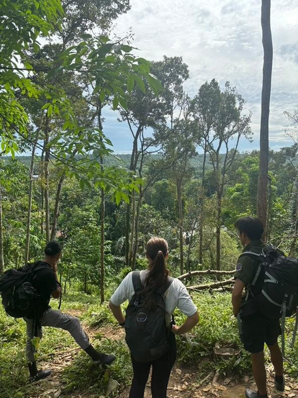 Bukit lawang orangutan trekking-武吉拉旺必去景点