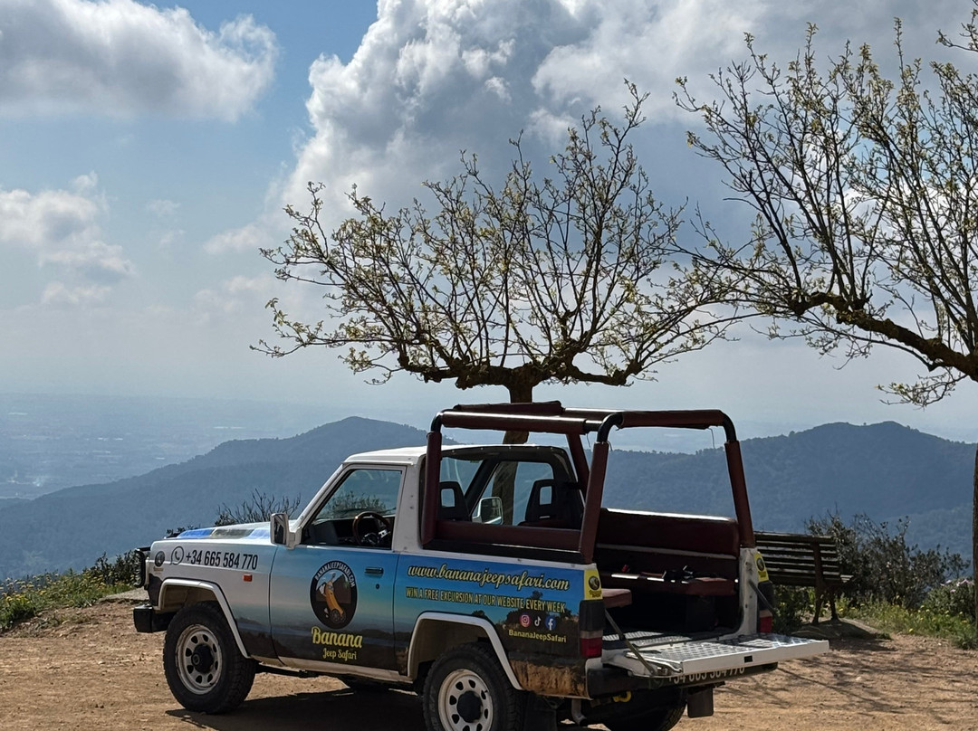 Banana Jeep Safari景点图片