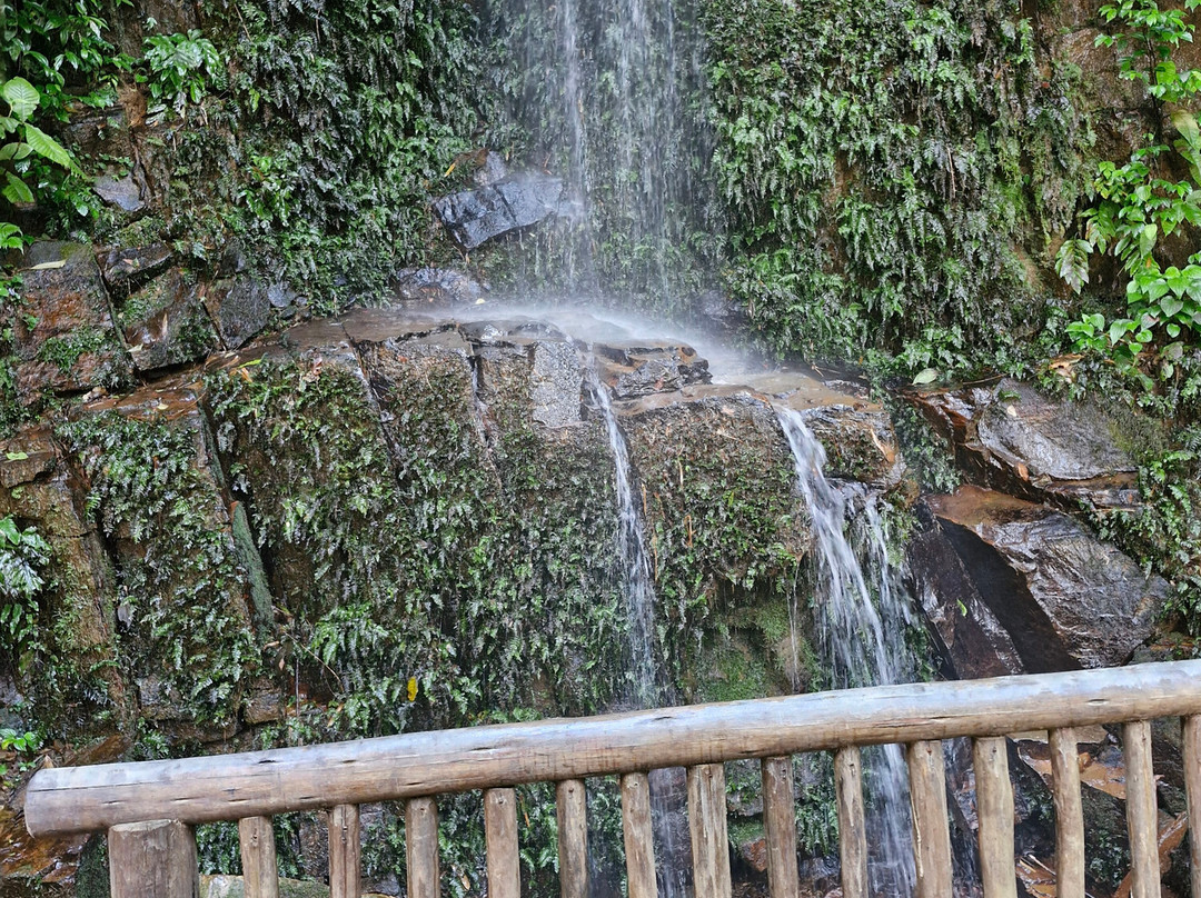 Sallet Tour-伊利亚贝拉必去景点