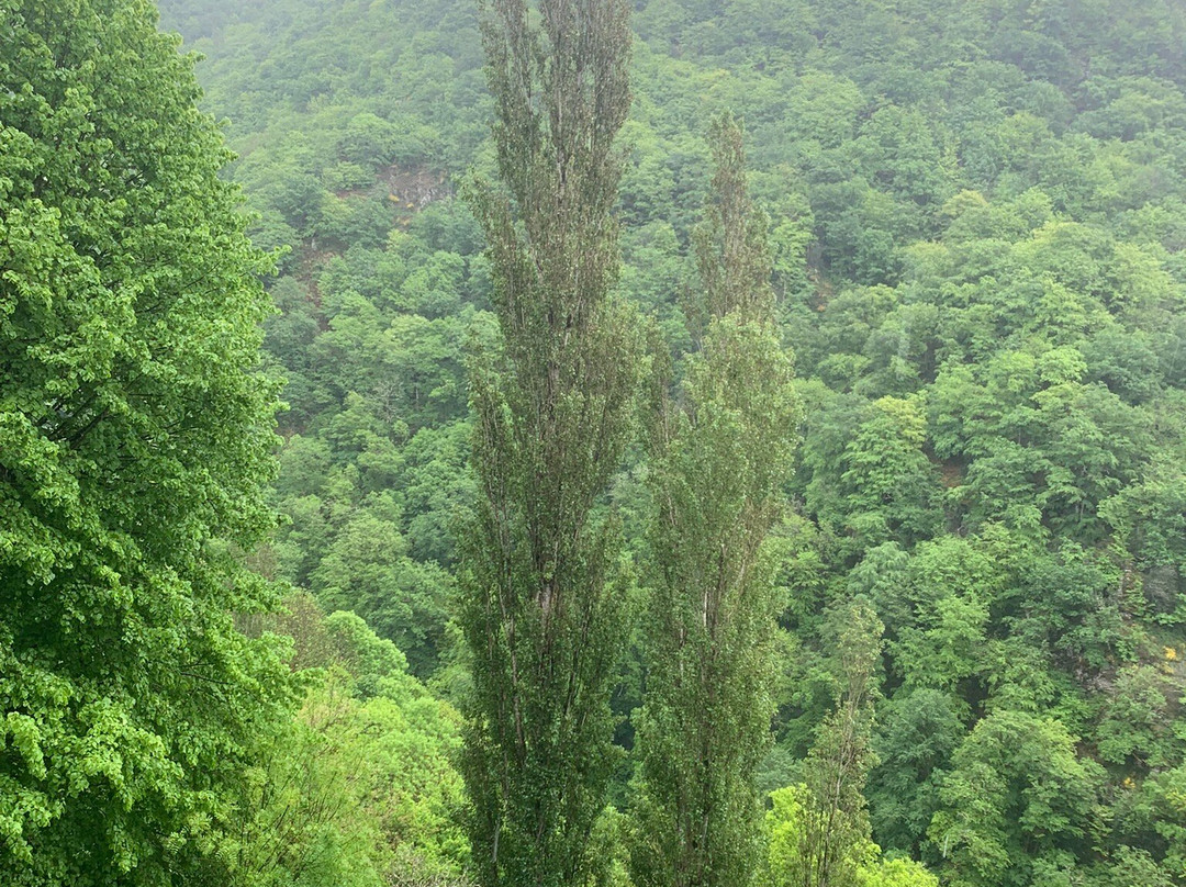 Abbaye de Bonneval-Le Cayrol必去景点