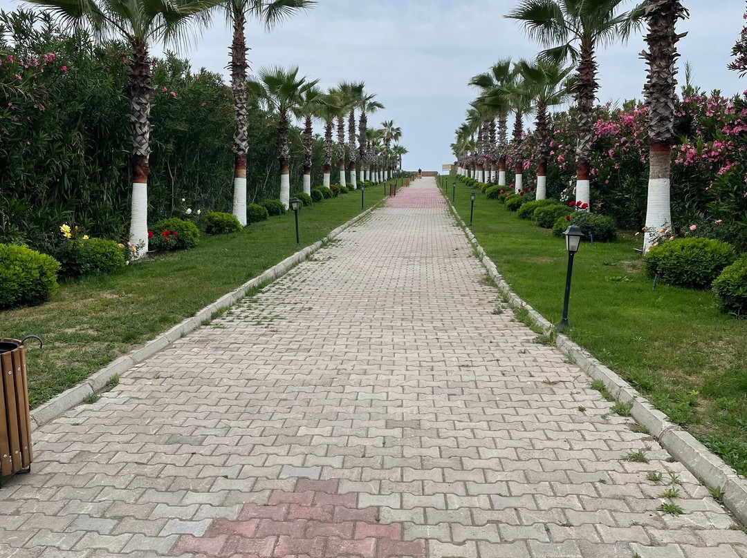 Rizom Beach Hotel主图