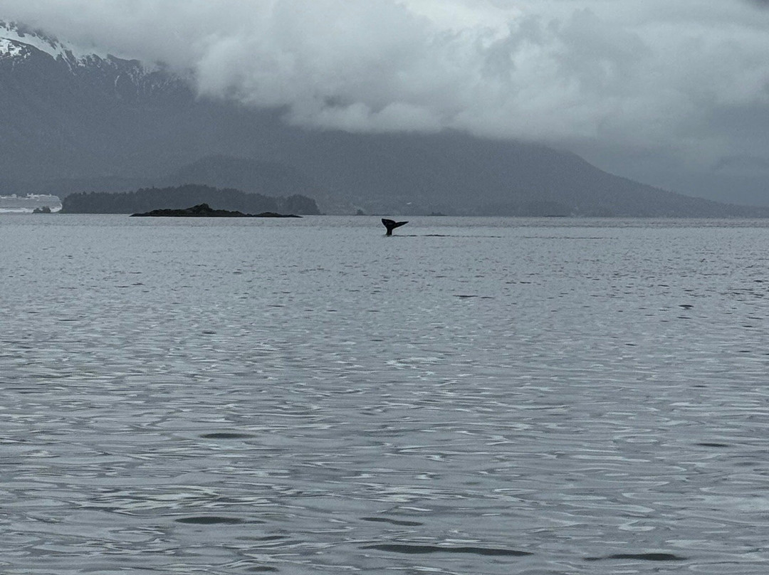Sitka Sea Level Adventures-锡特卡必去景点