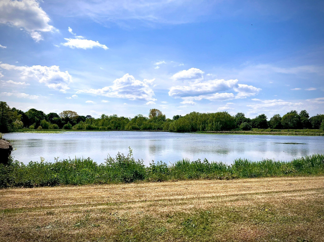 RSPB Middleton Lakes-塔姆沃思必去景点