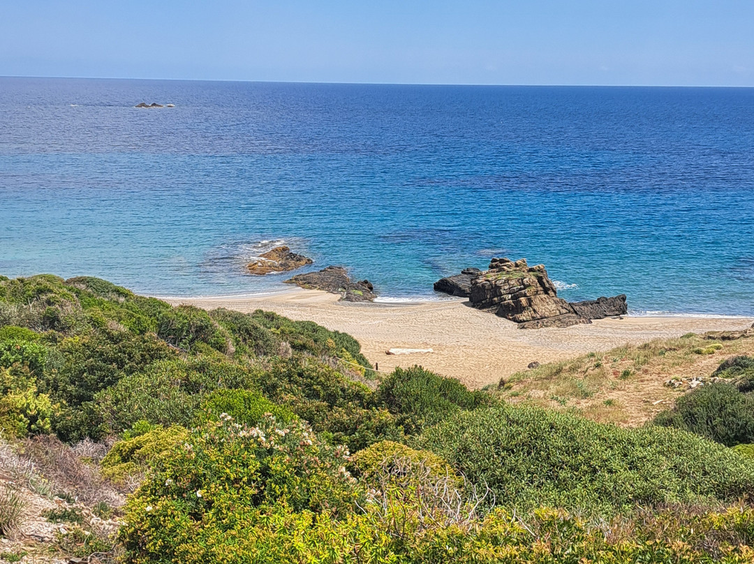 Playa Sa Mesquida-Cala Mesquida必去景点