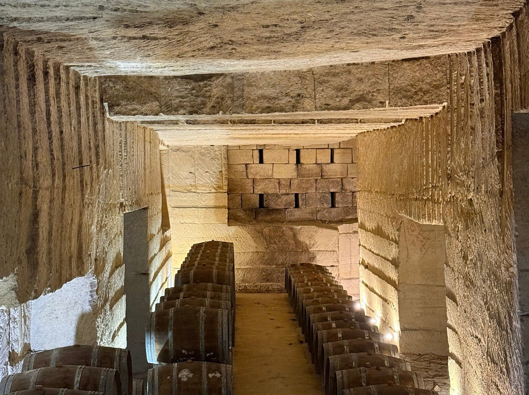 WikiTour-Cestas必去景点