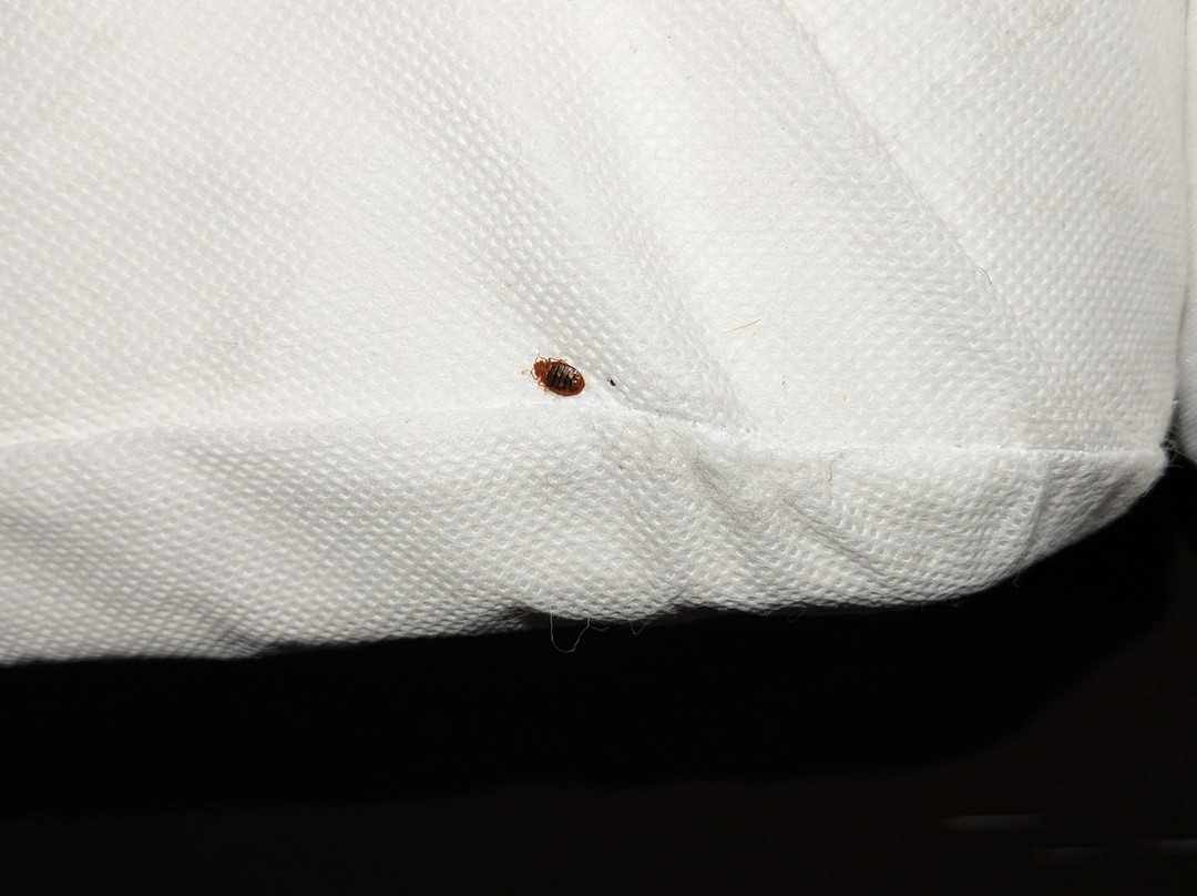 Wingate by Wyndham主图