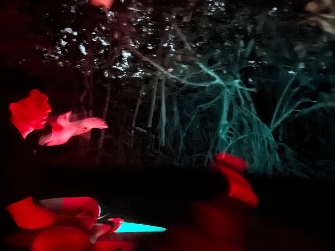 BioIsland-Cabezas必去景点