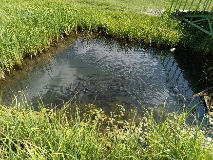 Yuzen Ada-Bingol必去景点